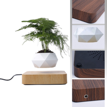 Carica l&#39;immagine nel visualizzatore di Gallery, Vaso per piante fluttuante
