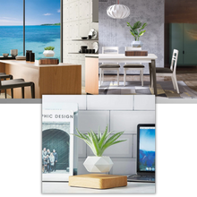 Carica l&#39;immagine nel visualizzatore di Gallery, Vaso per piante fluttuante - Ozerty
