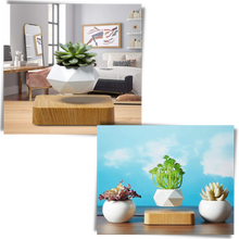 Carica l&#39;immagine nel visualizzatore di Gallery, Vaso per piante fluttuante - Ozerty
