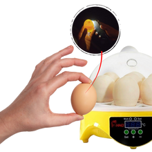 Carica l&#39;immagine nel visualizzatore di Gallery, Mini incubatrice automatica per uova - ozayti

