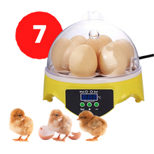 Carica l&#39;immagine nel visualizzatore di Gallery, Mini incubatrice automatica per uova - ozayti
