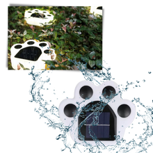 Carica l&#39;immagine nel visualizzatore di Gallery, Luce del sentiero a energia solare con stampa di zampa
