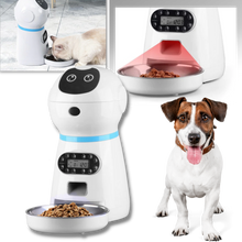 Carica l&#39;immagine nel visualizzatore di Gallery, Distributore automatico di cibo per animali - Ozerty
