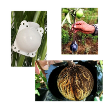 Carica l&#39;immagine nel visualizzatore di Gallery, Confezione da 3 scatole per piante a stratificazione aerea - Ozerty
