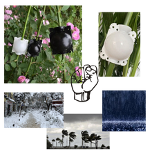 Carica l&#39;immagine nel visualizzatore di Gallery, Confezione da 3 scatole per piante a stratificazione aerea
