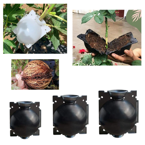 Confezione da 3 scatole per piante a stratificazione aerea - Ozerty