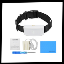 Carica l&#39;immagine nel visualizzatore di Gallery, Collare di localizzazione GPS per animali domestici - Ozerty
