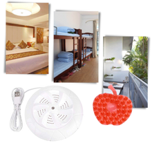 Carica l&#39;immagine nel visualizzatore di Gallery, Lavastoviglie e lavatrice ad ultrasuoni portatile - Ozerty
