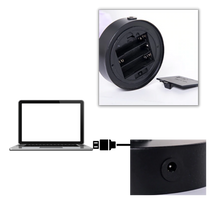 Carica l&#39;immagine nel visualizzatore di Gallery, Deliziosa lampada ad albero di rose - Ozerty
