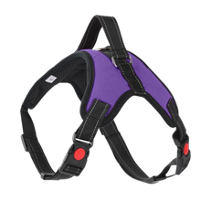 Carica l&#39;immagine nel visualizzatore di Gallery, Imbracatura per cani a sella regolabile riflettente
