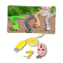 Carica l&#39;immagine nel visualizzatore di Gallery, Giocattolo a serpente interattivo telecomandato per gatto - Ozerty
