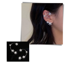 Carica l&#39;immagine nel visualizzatore di Gallery, Coppia di orecchini alla moda con zirconi - Ozerty
