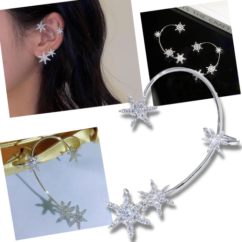 Coppia di orecchini alla moda con zirconi - Ozerty