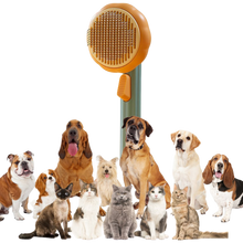 Carica l&#39;immagine nel visualizzatore di Gallery, Spazzola per animali autopulente a forma di zucca - Ozerty
