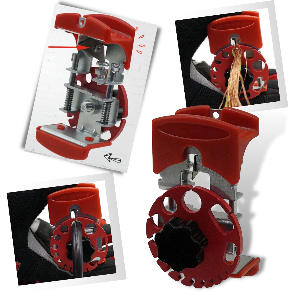 Spelafili palmare universale - Ozerty