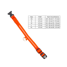 Carica l&#39;immagine nel visualizzatore di Gallery, Collare per animali con luce LED ricaricabile USB - Ozerty
