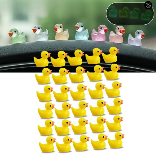 Gioco Sfida delle Paperelle - Ozerty