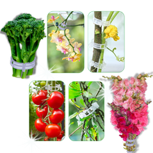 Carica l&#39;immagine nel visualizzatore di Gallery, Supporto per piante facile da agganciare - Ozerty
