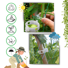 Carica l&#39;immagine nel visualizzatore di Gallery, Supporto per piante facile da agganciare - Ozerty
