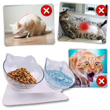 Carica l&#39;immagine nel visualizzatore di Gallery, Ciotola comfort rialzata per gatti - Ozerty
