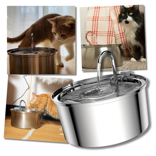 Fontana per gatti di grande capacità - Ozerty