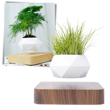 Carica l&#39;immagine nel visualizzatore di Gallery, Vaso per piante fluttuante - Ozerty
