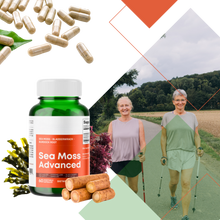 Carica l&#39;immagine nel visualizzatore di Gallery, Integratore di Erbe Marine - Ozerty
