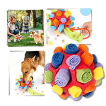 Carica l&#39;immagine nel visualizzatore di Gallery, Stimolatore mentale Palla da Fiuto - Ozerty
