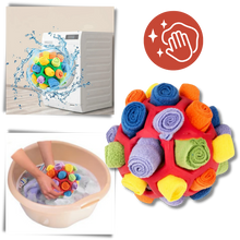 Carica l&#39;immagine nel visualizzatore di Gallery, Stimolatore mentale Palla da Fiuto - Ozerty
