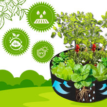 Carica l&#39;immagine nel visualizzatore di Gallery, Sacchetti traspiranti multiuso per la semina - Ozerty
