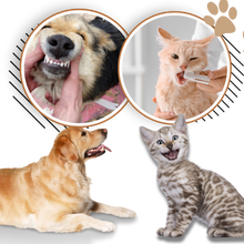 Carica l&#39;immagine nel visualizzatore di Gallery, Gel Orale per Animali Domestici - Ozerty
