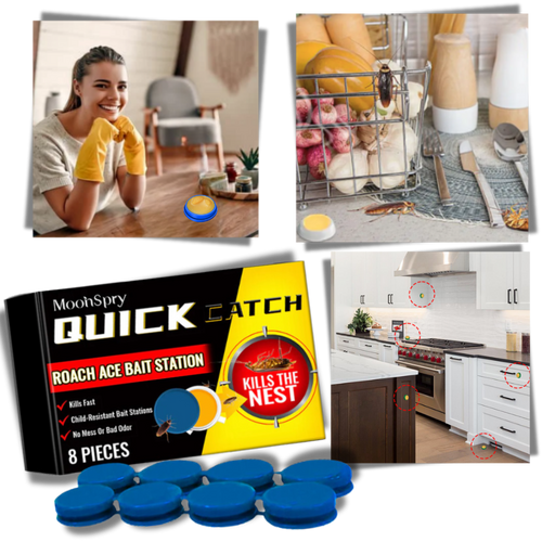 Trappole per scarafaggi inodore - Ozerty