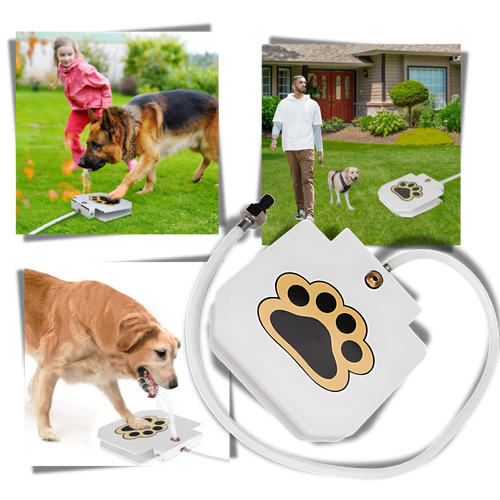 Fontana d'acqua per cani con attivazione a pedale - Ozerty