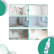 Carica l&#39;immagine nel visualizzatore di Gallery, Potente Spray Rimuovi Muffa - Ozerty
