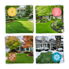 Carica l&#39;immagine nel visualizzatore di Gallery, Tappetino di semi di erba verde a fissaggio rapido - Ozerty
