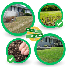 Carica l&#39;immagine nel visualizzatore di Gallery, Tappetino di semi di erba verde a fissaggio rapido - Ozerty
