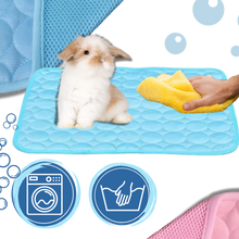 Carica l&#39;immagine nel visualizzatore di Gallery, Cuscinetto di raffreddamento per animali domestici in seta - Ozerty
