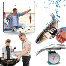 Carica l&#39;immagine nel visualizzatore di Gallery, Strumento di presa per pesci antiscivolo - Ozerty
