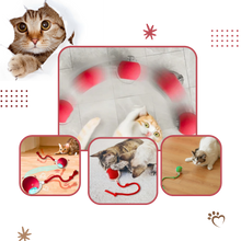 Carica l&#39;immagine nel visualizzatore di Gallery, Palla interattiva intelligente per gatti  - Ozerty
