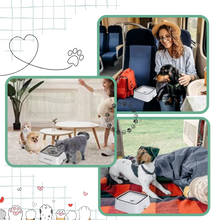 Carica l&#39;immagine nel visualizzatore di Gallery, Fontanella per Cani Anti-Schizzo - Ozerty
