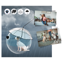 Carica l&#39;immagine nel visualizzatore di Gallery, Guinzaglio a Ombrello Trasparente per Cani - Ozerty
