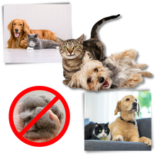 Carica l&#39;immagine nel visualizzatore di Gallery, Spazzola per cani e gatti per la rimozione del pelo - Ozerty
