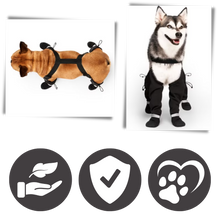 Carica l&#39;immagine nel visualizzatore di Gallery, Stivali con bretelle impermeabili per cani - Ozerty
