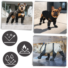 Carica l&#39;immagine nel visualizzatore di Gallery, Stivali con bretelle impermeabili per cani - Ozerty
